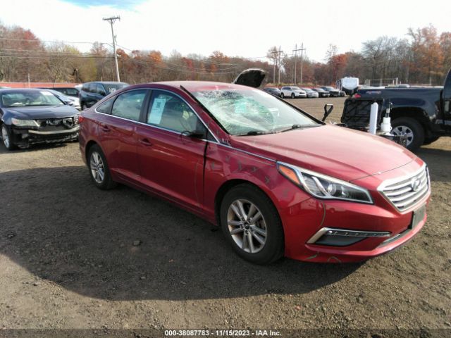 HYUNDAI SONATA 2015 5npe24af2fh228796