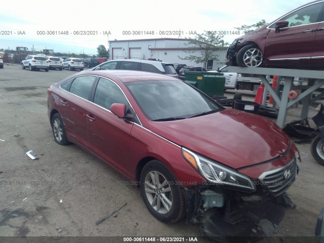 HYUNDAI SONATA 2015 5npe24af2fh242231