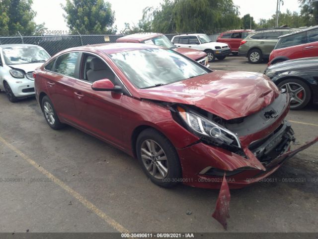 HYUNDAI SONATA 2015 5npe24af2fh251060