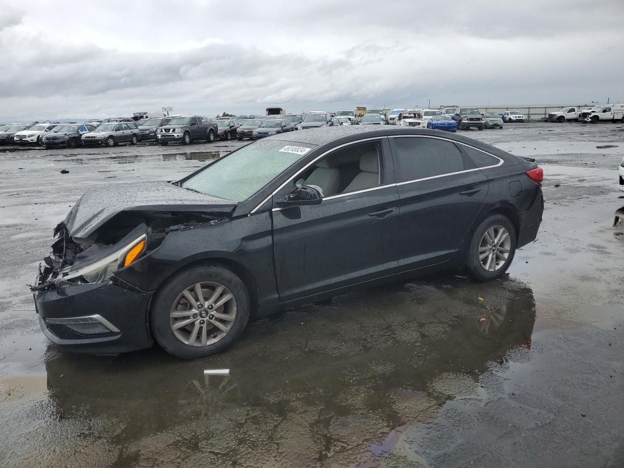 HYUNDAI SONATA 2015 5npe24af2fh257697