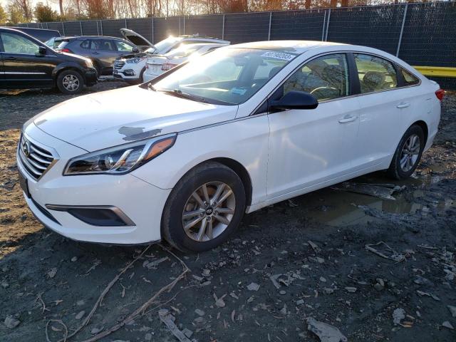 HYUNDAI SONATA 2016 5npe24af2gh264036