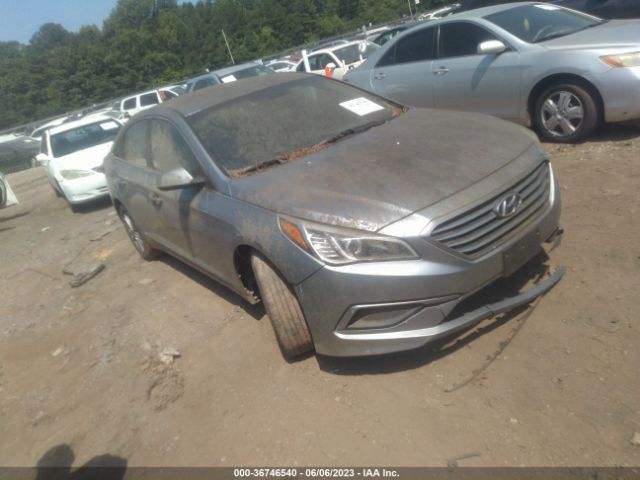 HYUNDAI SONATA 2016 5npe24af2gh264358