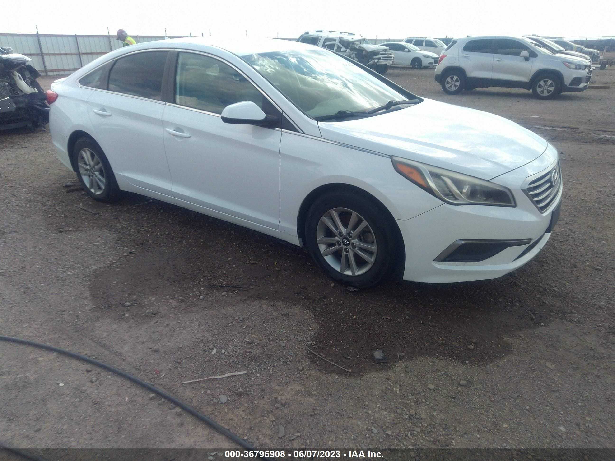 HYUNDAI SONATA 2016 5npe24af2gh271343