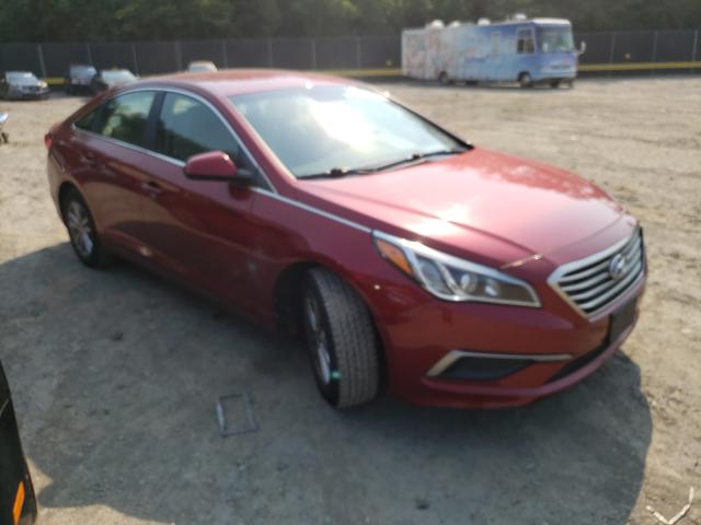 HYUNDAI SONATA SE 2016 5npe24af2gh272282