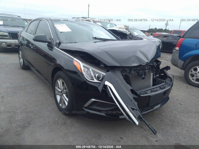 HYUNDAI SONATA 2016 5npe24af2gh275179