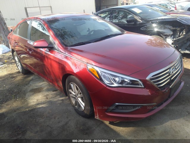 HYUNDAI SONATA 2016 5npe24af2gh278292