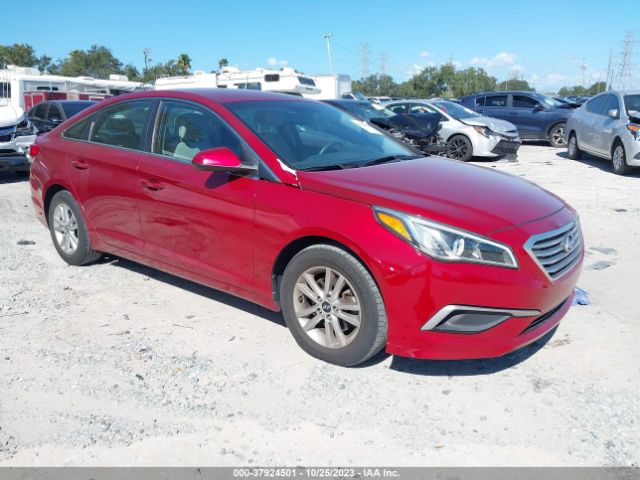 HYUNDAI SONATA 2016 5npe24af2gh279944