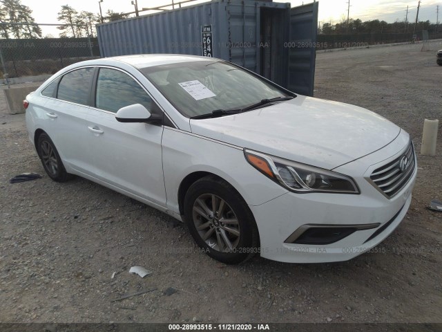 HYUNDAI SONATA 2016 5npe24af2gh280835