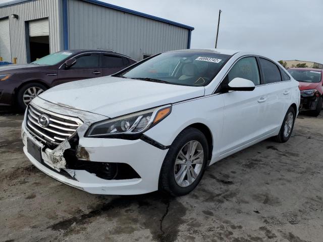 HYUNDAI SONATA SE 2016 5npe24af2gh281239