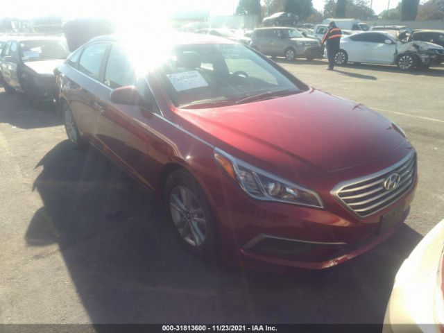 HYUNDAI SONATA 2016 5npe24af2gh282438