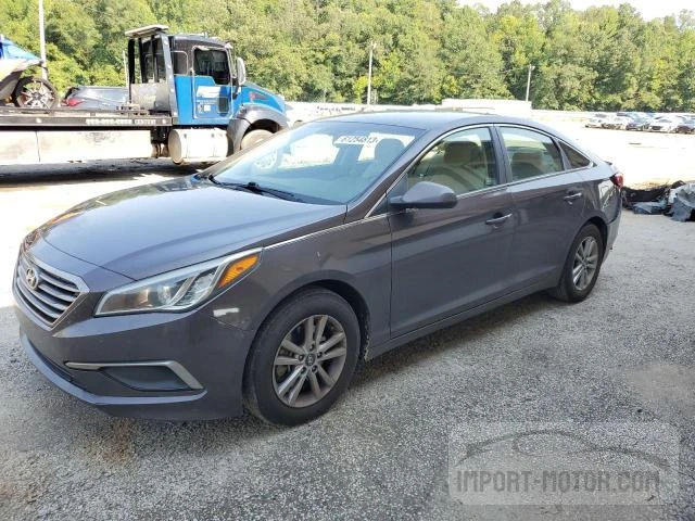 HYUNDAI SONATA 2016 5npe24af2gh286084