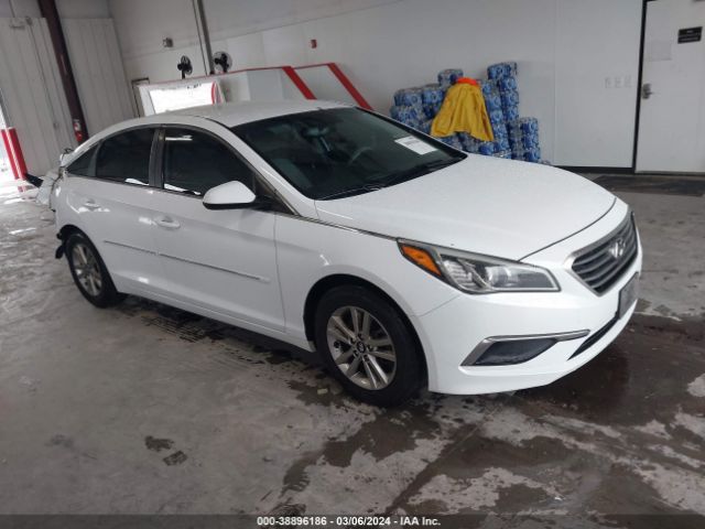 HYUNDAI SONATA 2016 5npe24af2gh288028