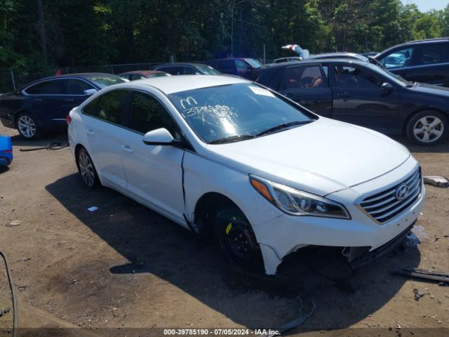 HYUNDAI SONATA 2016 5npe24af2gh291382