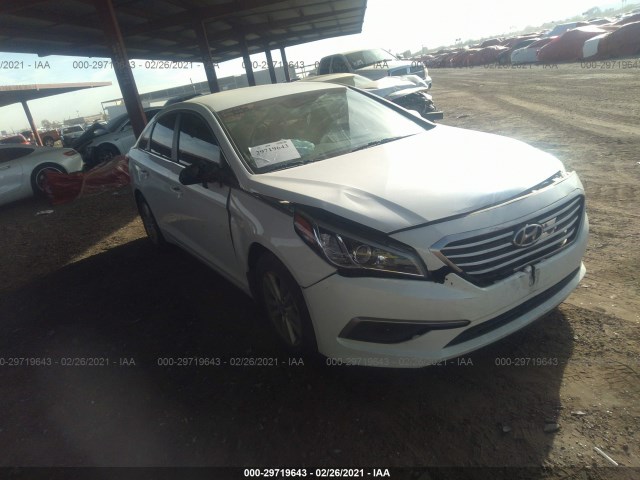 HYUNDAI SONATA 2016 5npe24af2gh293732