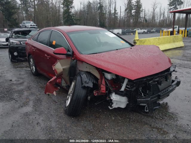 HYUNDAI SONATA 2016 5npe24af2gh296002