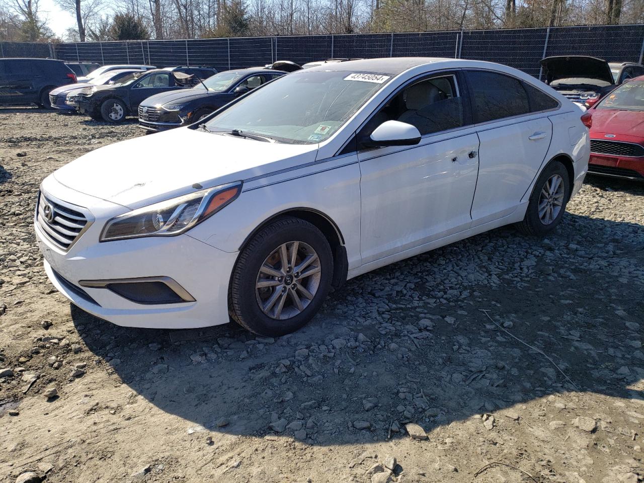 HYUNDAI SONATA 2016 5npe24af2gh297117