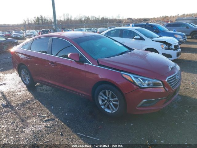 HYUNDAI SONATA 2016 5npe24af2gh297313