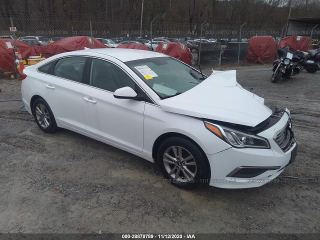 HYUNDAI SONATA 2016 5npe24af2gh300310