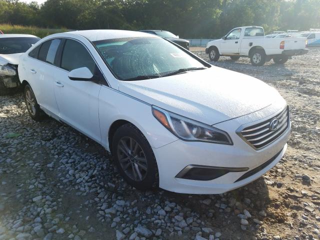 HYUNDAI SONATA SE 2016 5npe24af2gh302431