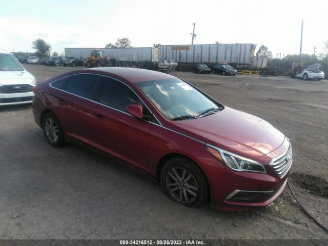 HYUNDAI SONATA 2016 5npe24af2gh311503