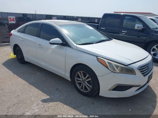 HYUNDAI SONATA 2016 5npe24af2gh315261