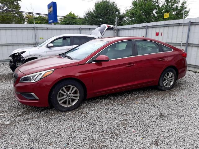 HYUNDAI SONATA SE 2016 5npe24af2gh324641