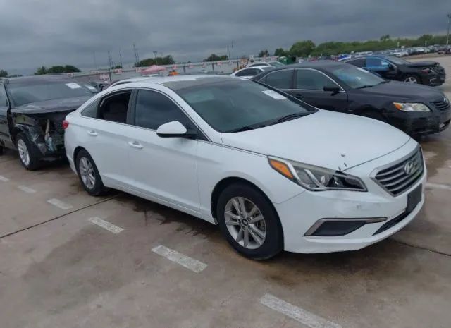 HYUNDAI SONATA 2016 5npe24af2gh339169