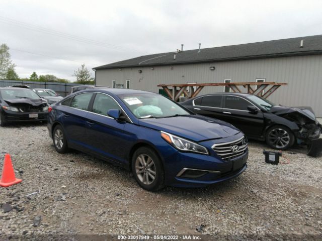 HYUNDAI SONATA 2016 5npe24af2gh342279