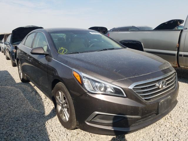 HYUNDAI SONATA SE 2016 5npe24af2gh343500