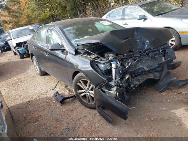 HYUNDAI SONATA 2016 5npe24af2gh345778