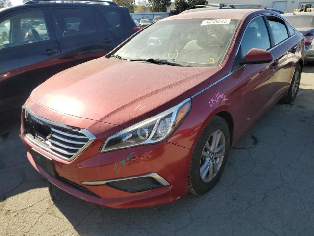 HYUNDAI SONATA SE 2016 5npe24af2gh346249