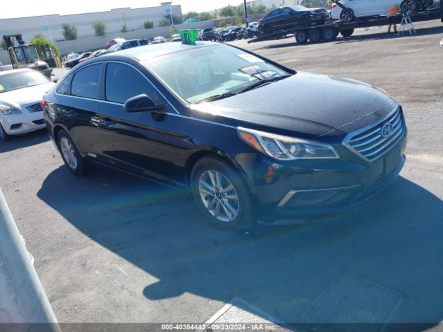 HYUNDAI SONATA 2016 5npe24af2gh347627