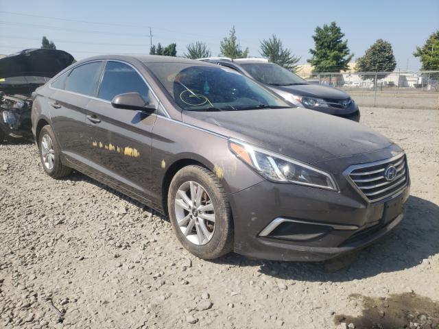 HYUNDAI SONATA SE 2016 5npe24af2gh360863