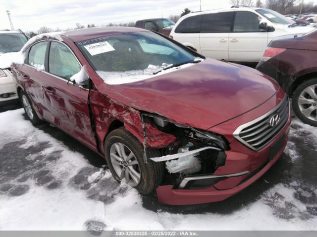 HYUNDAI SONATA 2016 5npe24af2gh366324