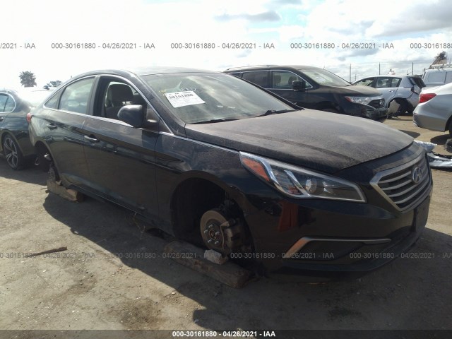 HYUNDAI SONATA 2016 5npe24af2gh371863