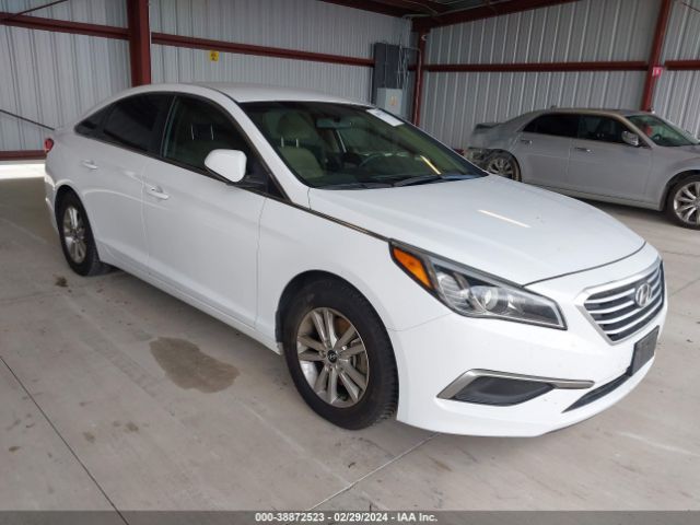 HYUNDAI SONATA 2016 5npe24af2gh374391