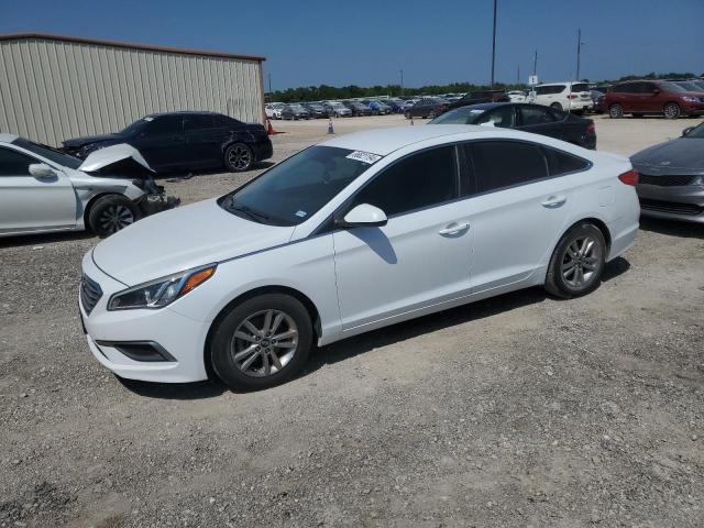 HYUNDAI SONATA 2016 5npe24af2gh376111