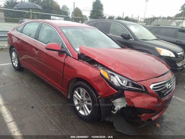 HYUNDAI SONATA 2016 5npe24af2gh376559