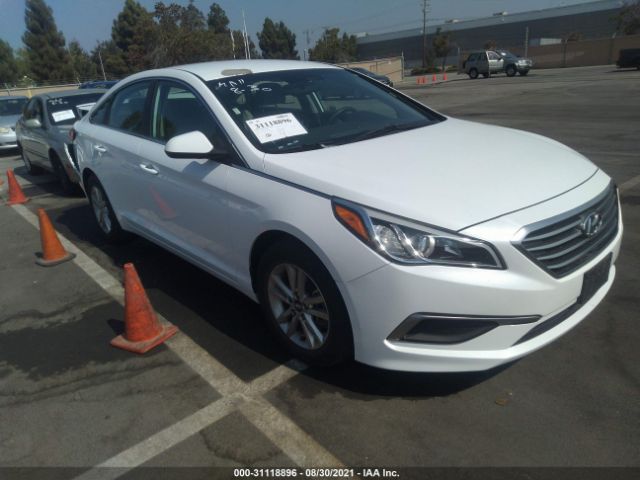 HYUNDAI SONATA 2016 5npe24af2gh384807