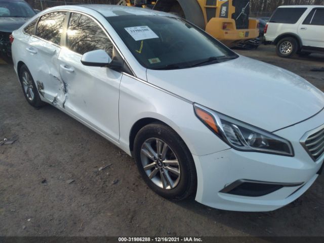 HYUNDAI SONATA 2016 5npe24af2gh386671