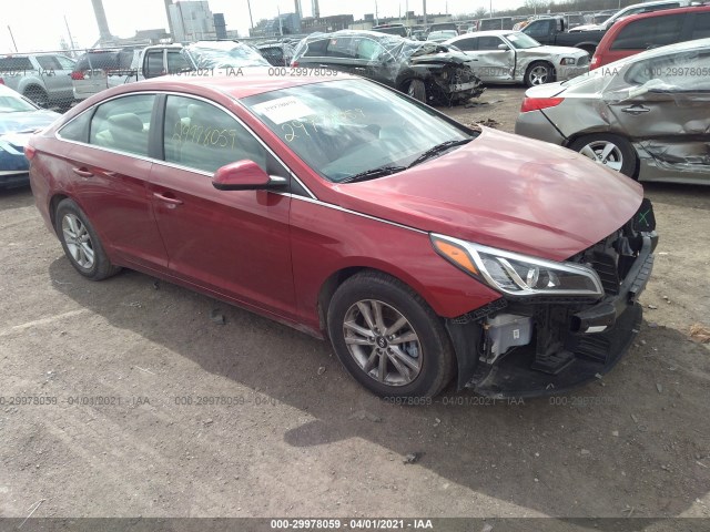 HYUNDAI SONATA 2016 5npe24af2gh390526