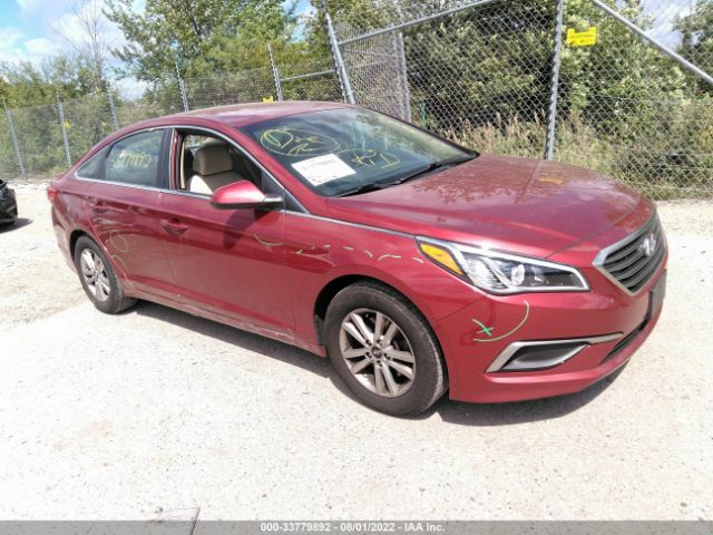 HYUNDAI SONATA 2016 5npe24af2gh392096