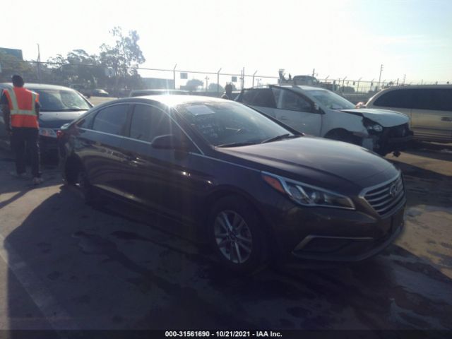 HYUNDAI SONATA 2016 5npe24af2gh396617