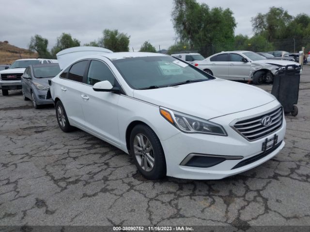 HYUNDAI SONATA 2016 5npe24af2gh398433