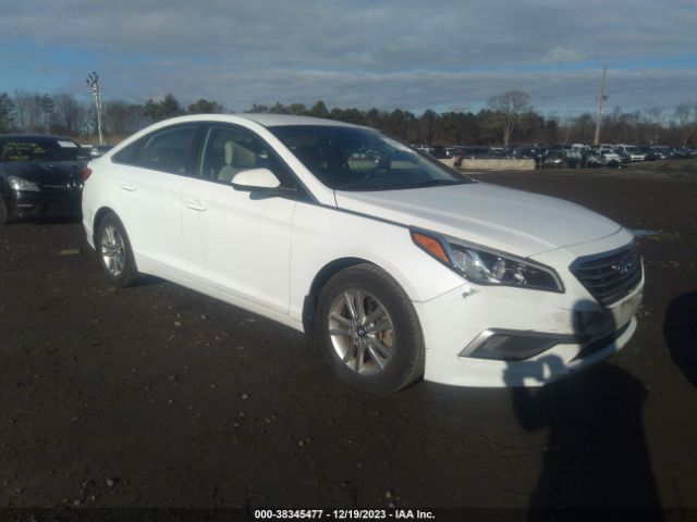 HYUNDAI SONATA 2016 5npe24af2gh399632