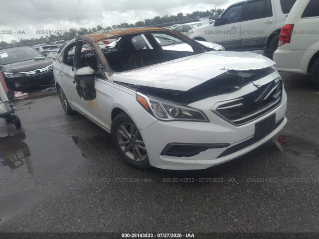 HYUNDAI SONATA 2016 5npe24af2gh401735