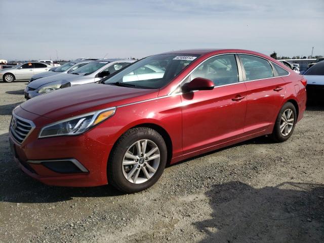 HYUNDAI SONATA 2016 5npe24af2gh409818