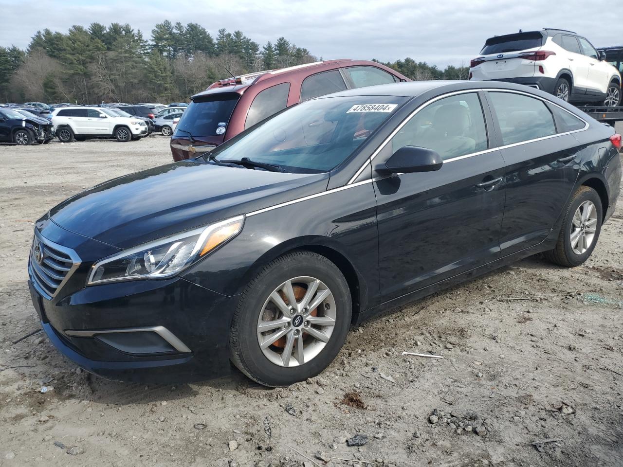 HYUNDAI SONATA 2016 5npe24af2gh410029