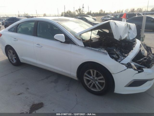 HYUNDAI SONATA 2016 5npe24af2gh417420