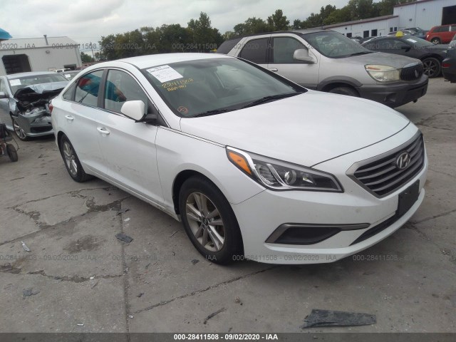 HYUNDAI SONATA 2016 5npe24af2gh418504